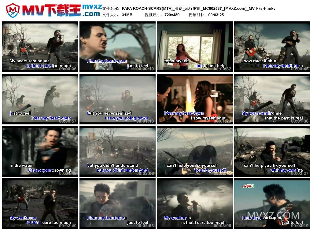 PAPA ROACH-SCARS(MTV)_英语_流行歌曲_MC802587